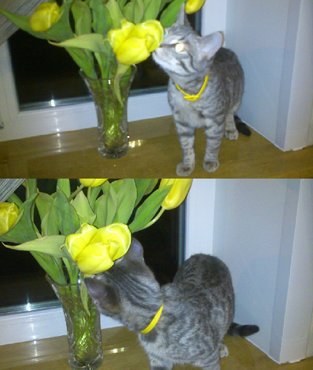 Безымянный6754