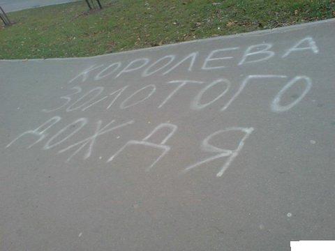 podborka_481_92