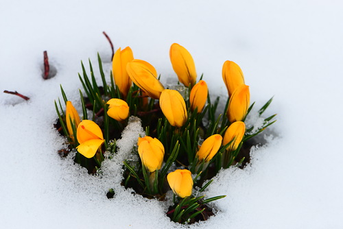 0_STATIC14ec32_4f05fbab_L