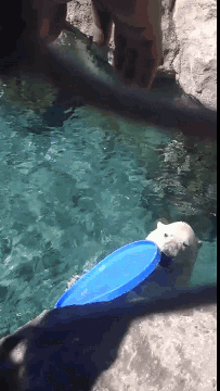 Эй, друг, тут фигня какая-то выпала...