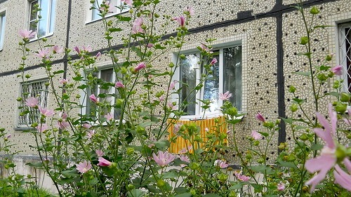 0_89abf_ae68db89_-1-L