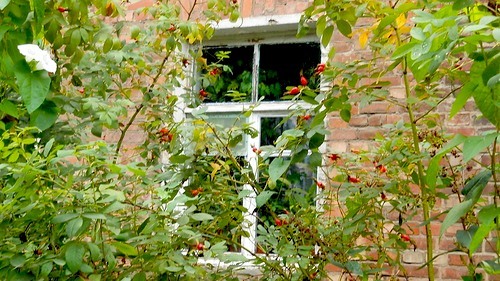 0_8a2e2_fb599d9e_-1-L