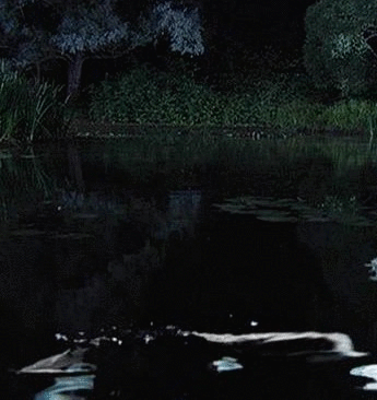 1. Голая Анна Ковальчук.