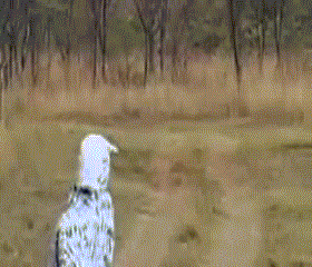 1399709162_222027935