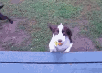 1399985908_2146832380