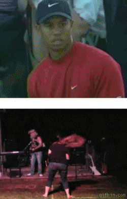 1277900256_tiger-woods-vs-girl-faceplants-at-concert