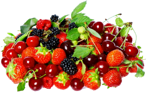 ягоды