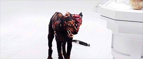 tumblr_ly2n0mbPW51ql8i93o1_500