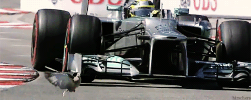 Rosberg_Monaco_2013