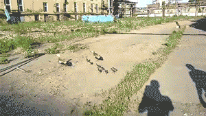 1400902138_302441117