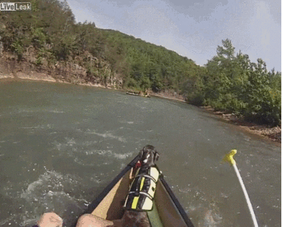 муму-досвидания