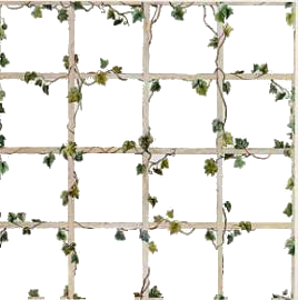 thmediafileCA3F82XBB