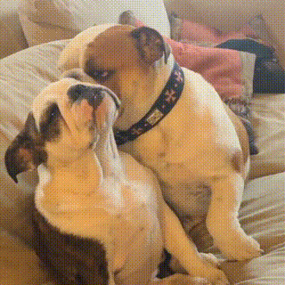 Ну уговорил......а дальше-то чо??