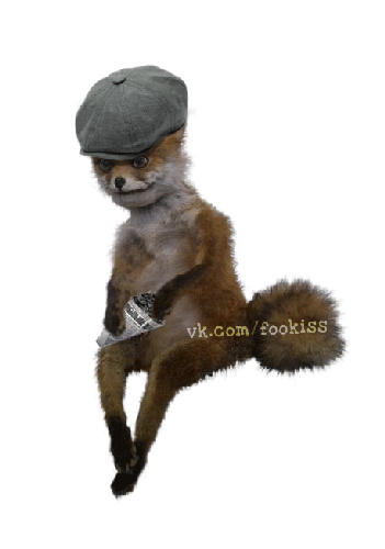 -Чучело-лисы-быдло-491415