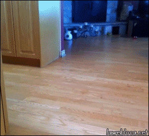 1402980973_644724486