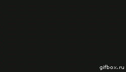 13584087868752