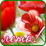 oie_rounded_corners-1