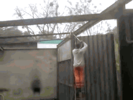 рукожопство