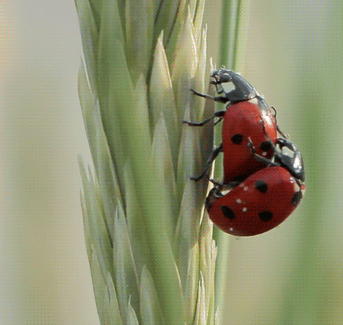 1403757488_1403110801_1400411823_6