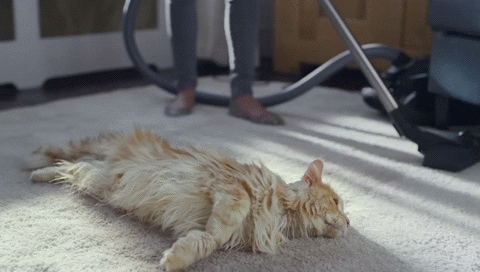 -гифки-котэ-печалька-821433