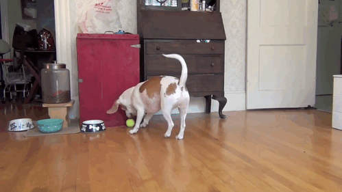 1403976744_614204009