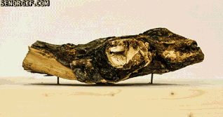 -предметы-таймлапс-1377949