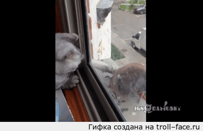 1405371818_980883665