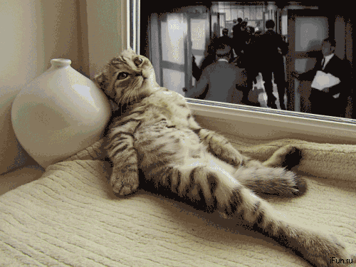 Состояние в понедельник