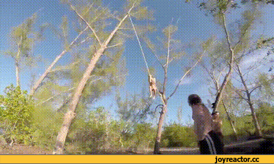 D0B3D0B8D184D0BAD0B8D0A1D0B2D0BED18FD0B0D182D0BCD0BED181D184D0B5D180D0B0D182D0B0D180D0B7D0B0D0BDD0BA