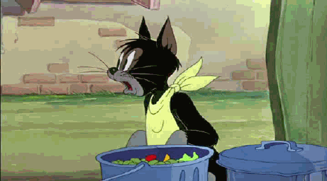 kot