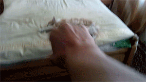 1405954895_1572775043