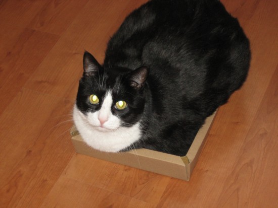 Изображение 001