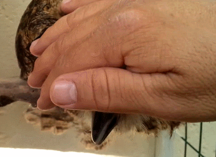 1406024068_1427489943