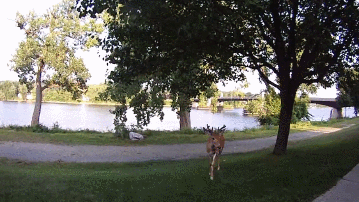 1406135633_1174184430