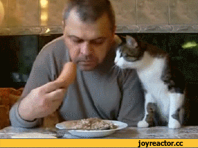 1406563166-a645518670729947595e71d0a74b916f