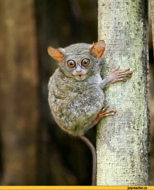 D0BCD0B8D0BBD0BED182D0B0D0B6D0B8D0B2D0BDD0BED181D182D18CD0BFD0B5D181D0BED187D0BDD0B8D186D0B01130134