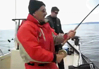 1267118150_ssdgsgshdhds