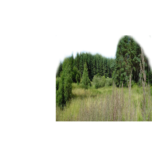 47d4fcbeb1fa5c7f3c537a9777b5891d2