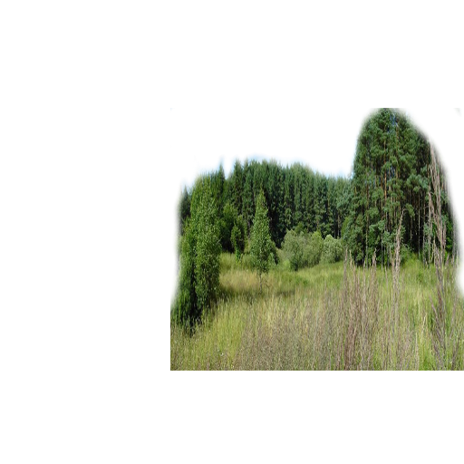 47d4fcbeb1fa5c7f3c537a9777b5891d2