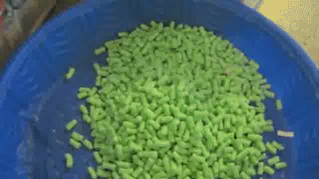 1397044857_421943337