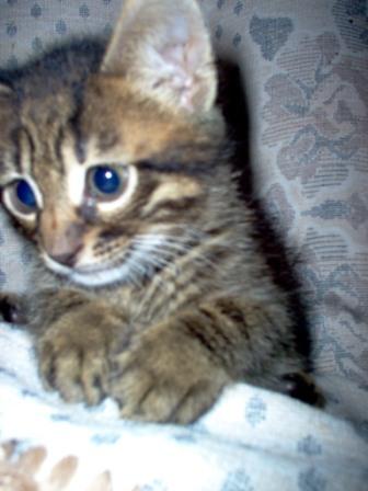 Изображение 010