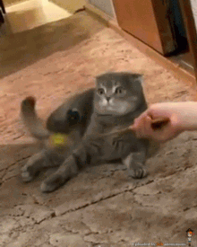 какие ответные санкции