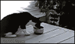 -песочница-удалённое-116868