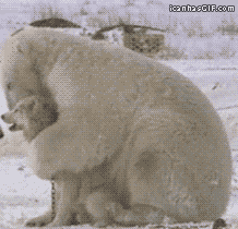 -животные-обнимашки-552576