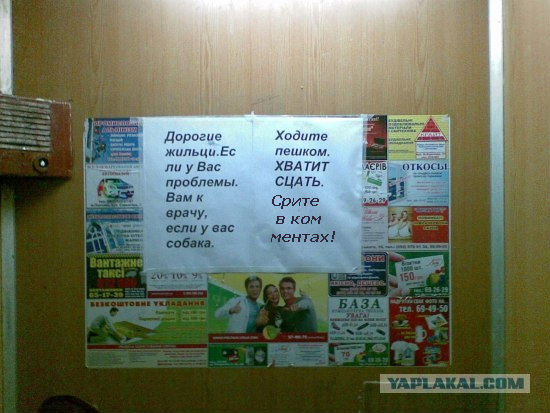 post-3-12729779298029