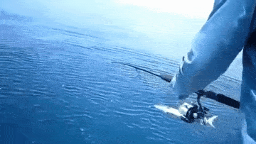 gifs_21