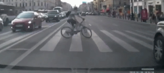 VELOIDIOT