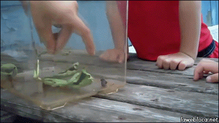 tumblr_na3uxor6Lc1s02vreo1_500