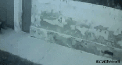 tumblr_mzd5kmXoLo1s02vreo1_400