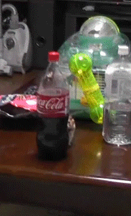 1404475170_giff-nabor_113-40